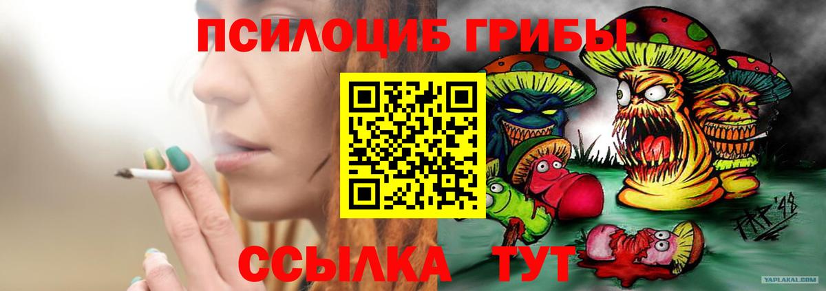 Галлюциногенные грибы Cubensis  Галлюциногенные грибы мухоморы  Вход с VPN  Благодарный 